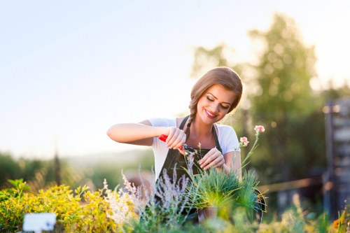 Accessible gardening website content for Kingsbury users