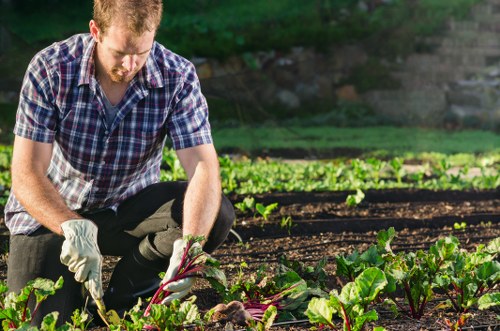 Gardener reviewing a service concern in a formal complaints process