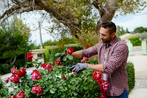 Team assessing a gardening service issue before resolution