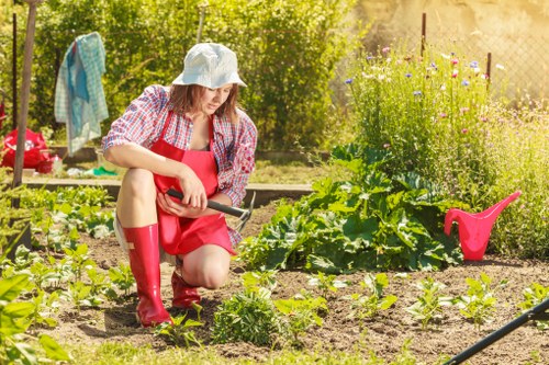 Dedicated garden upkeep and lawn care in Kingsbury