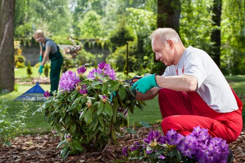 Free quote policy for Gardeners Kingsbury services