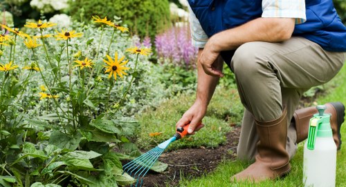 Soft landscaping and garden improvement services in Kingsbury