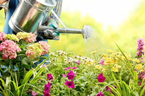 Low-maintenance planting and hard landscaping for a Kingsbury garden
