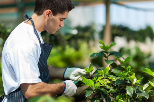 Example garden jobs and quote estimates for Kingsbury properties