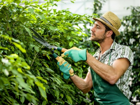 Confidential reporting channels and safeguarding at Gardeners Kingsbury