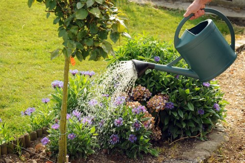 Lawn care and edging for a well-kept Kingsbury garden