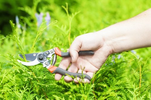 Trusted local garden professionals in Kingsbury