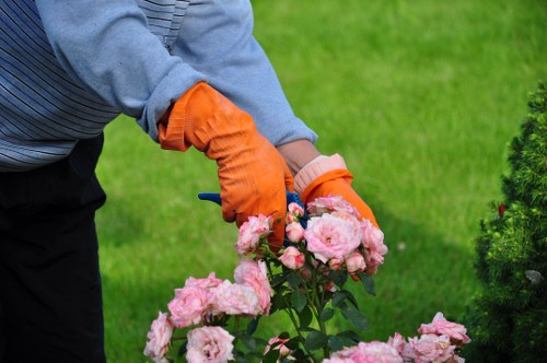 Booking and quotation terms for garden services