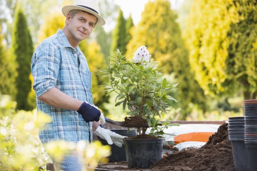 Final complaint response prepared for a gardening customer