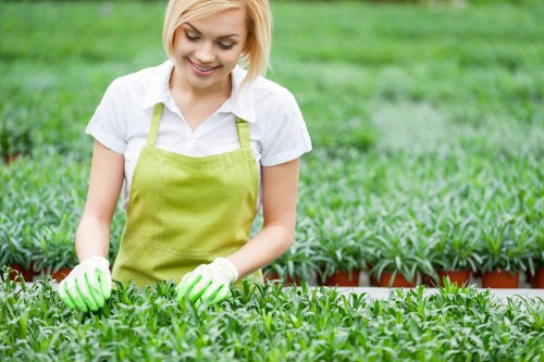 Seasonal garden maintenance in Kingsbury with tidy borders and plants