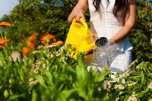 Screen-reader friendly gardening information for local visitors