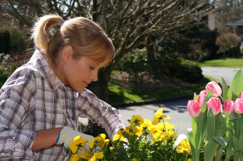 Residential lawn mowing in Kingsbury on a suburban property