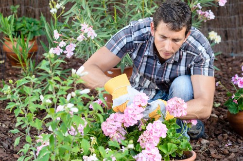 Emergency readiness and safe working in garden maintenance