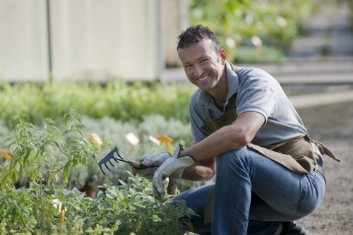 Shrub shaping and border maintenance in Kingsbury